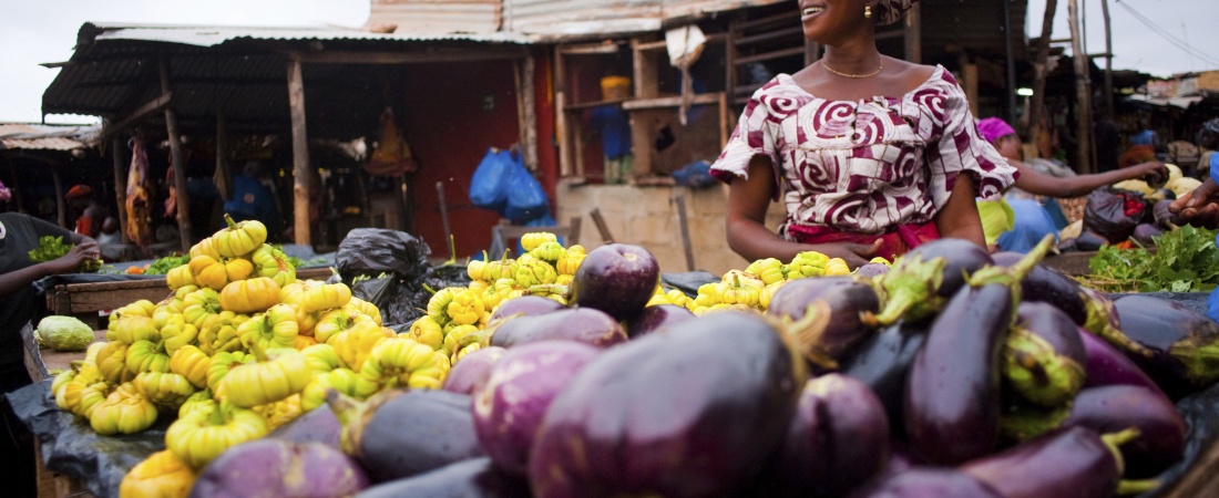Bamako-woman-selling-eggplants-for-brochure