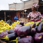 Bamako-woman-selling-eggplants-for-brochure